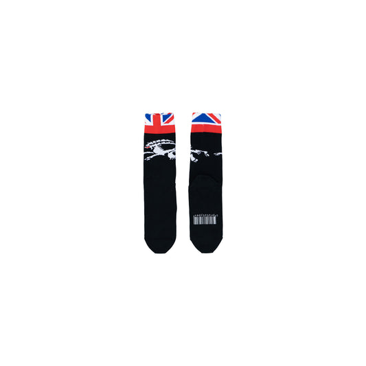 GRAPHIC SOCKS