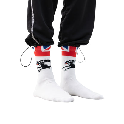 GRAPHIC SOCKS